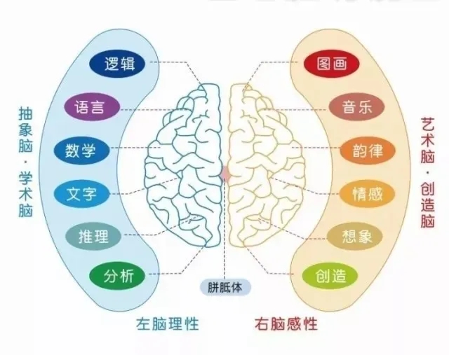 蓝月亮料免资料大全